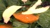 Photo: Chef?s Table: Orange Salad With Ricotta