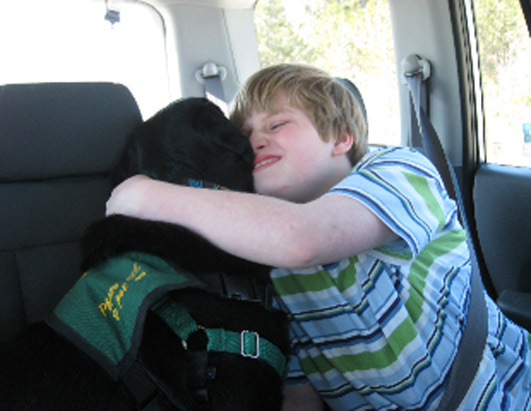 Service Dogs