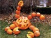 GMA Weekend Pumpkin
