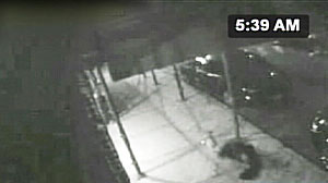 Photo: Good Samaritan Left for Dead on City Sidewalk: No One Helped Homeless Man Who Saved a Woman From 5:30 a.m. Mugging