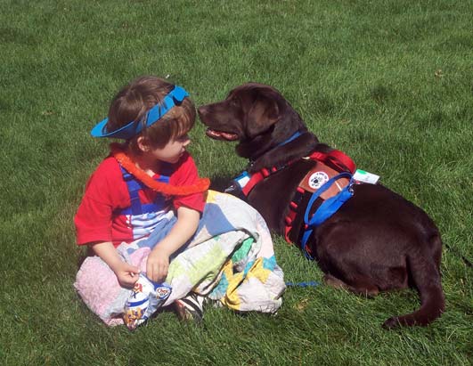 Service Dogs