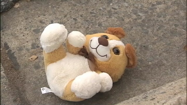 VIDEO: Police in Shelby, N.C., are investigating a roadside explosive found inside a stuffed animal.