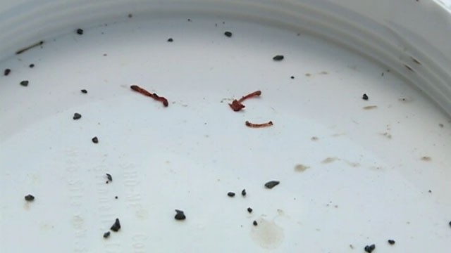 VIDEO: Schools in the small town of Colcord, Okla., are closed due to the tainted water supply.
