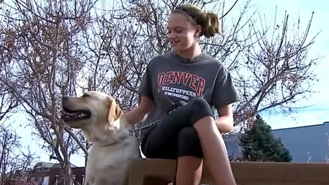 VIDEO: Reggie swallowed 50 pins while eating his owners science project.