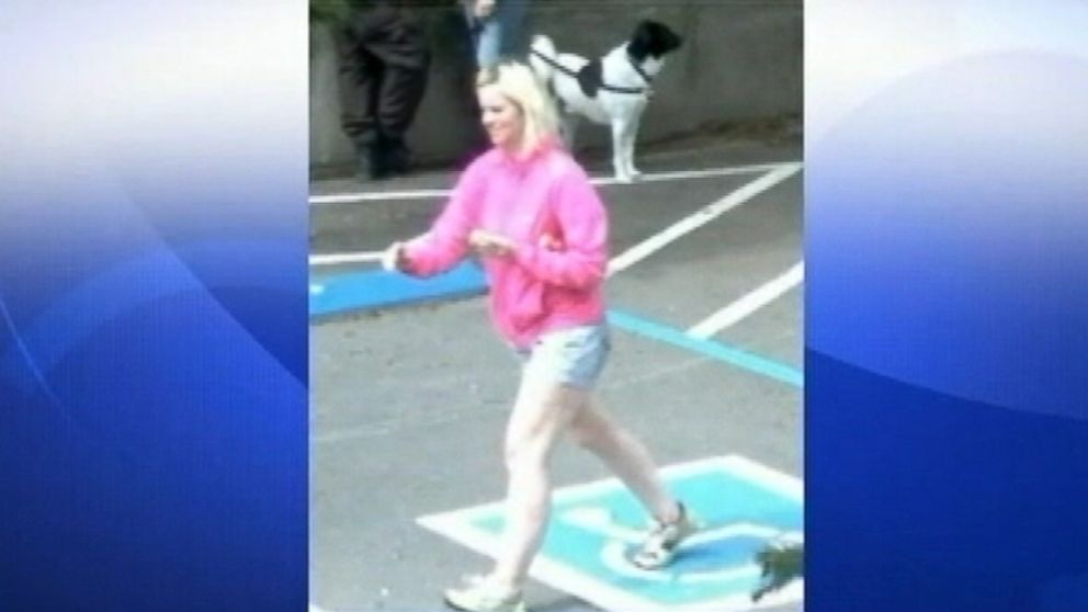 VIDEO: Search continues on Mount Tamalpais for missing Menlo Park hiker.