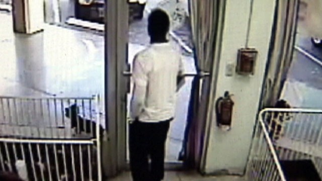 VIDEO: A man at a Florida pet store goes below the waist in concealing his alleged theft.