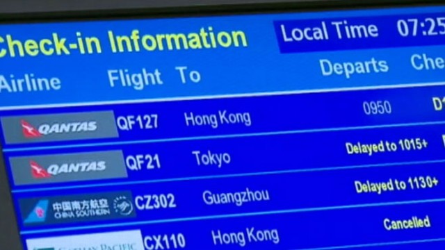 VIDEO: Eight-inch Mandarin Rat Snake was found on a Qantas jet before passengers began boarding.