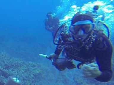 Underwater Assault Caught on Video In Hawaii