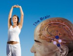 New studies show exercise boosts brainpower.