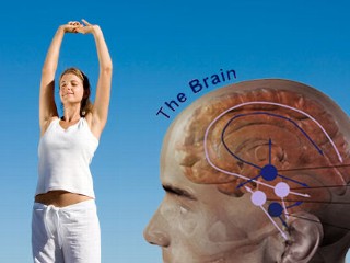 New studies show exercise boosts brainpower.