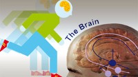 New studies show exercise boosts brainpower.