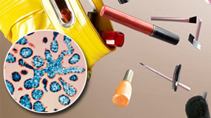 Photo: Clean the germs from your purse and make-up
