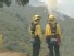 On the Fire Lines