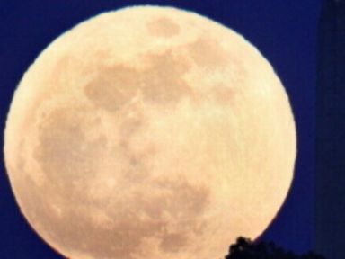VIDEO: Night owls will be treated to a dazzling sight this weekend courtesy of the lunar orbit.