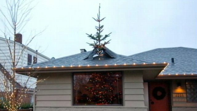 VIDEO: A Seattle, Wash., man created a mind-bending Christmas tree display.