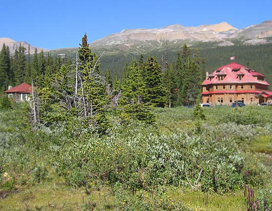 Weekend Window: Jasper, Alberta