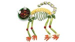Black Bean Cat Crudites