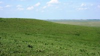 Tallgrass Prairie National Preserve