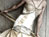 GMA Brides Dream Dress 