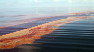 The oil slick as seen from the deck of the Walton Smith Research Vessel.