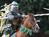 Pennsylvania Renaissance Faire