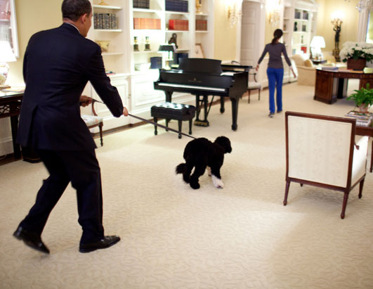 obama white house logo. Inside the Obama White House