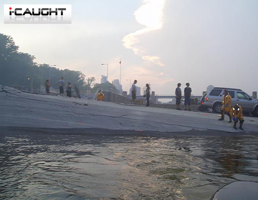 Bridge Collapse