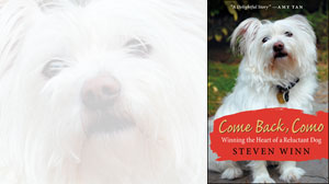 Come Back, Como: Winning the Heart of a Reluctant Dog by Steven Winn.