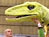 Dinosaurs
