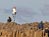 Northern Ireland's The Giant's Causeway Spectacular Rock Formation Inspires Legend