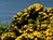 Northern Ireland's The Giant's Causeway Spectacular Rock Formation Inspires Legend