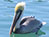 islamorada