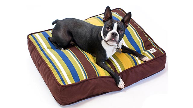 PHOTO: Molly Mutt Pillow