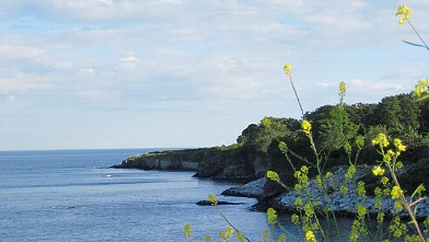 PHOTO: Newport has long been a favorite summer vacation destination.