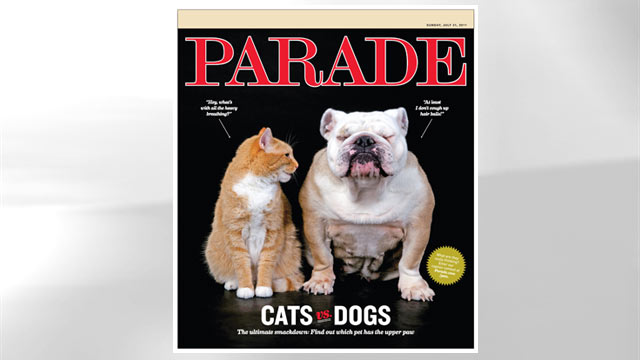 PHOTO: "Cats Vs. Dogs"