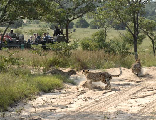 Elizabeth Vargas in South Africa