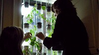 Photo: Just One Thing: vertical hydroponic window farms