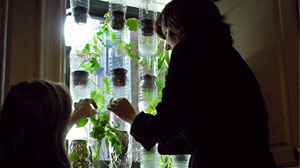Photo: Just One Thing: vertical hydroponic window farms