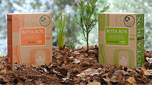 Photo: GMA Just One Thing: Why boxed wine is better for the environment that the bottled kind
