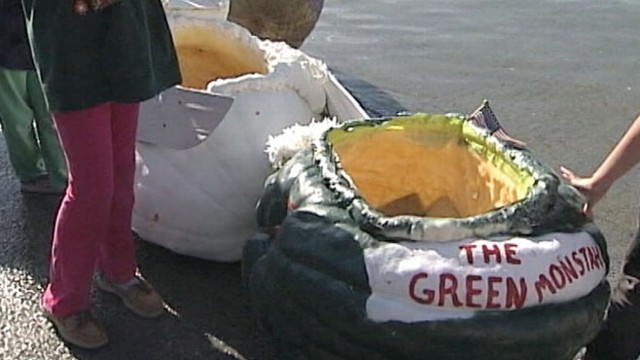 VIDEO: Annual Pumpkin Regatta draws huge crowds at Pumpkinfest in Maine.