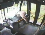 VIDEO: A deer in Pennsylvania flew through a moving bus's windshield and escaped with no one injured.