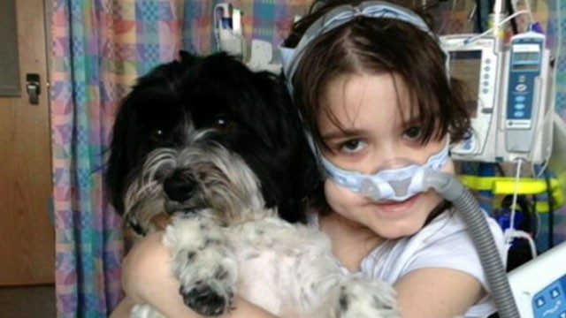 VIDEO: Sarah Murnaghan underwent two double lung transplants in June.