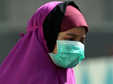From the World Cup to Mecca: Can Big Events Spread Diseases?