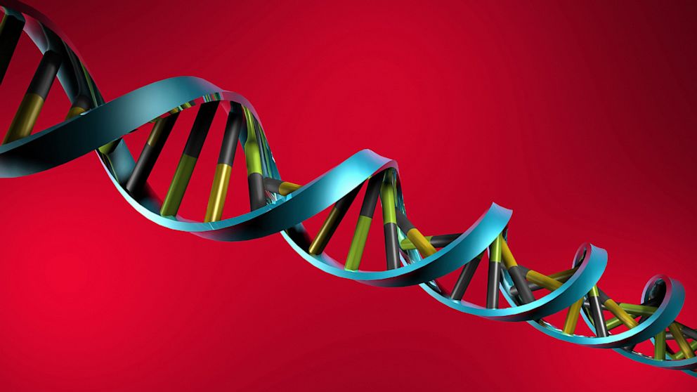 PHOTO: DNA HELIX with Nucleobase.