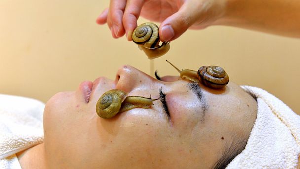 GTY snail facial 2 nt 130715 16x9 608 Snail Facials Probably Wont Work, Dermatologists Say