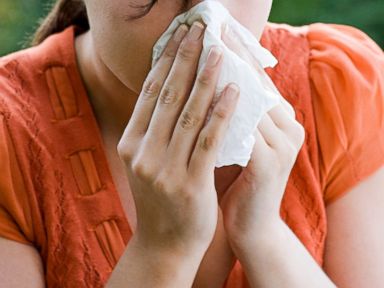 9 Real Solutions for Seasonal Allergies