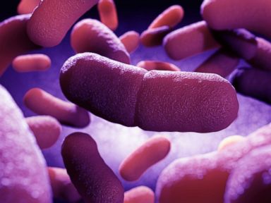 Dog Infects Humans With Plague for First Time in US
