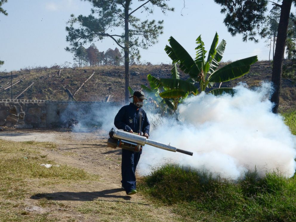 PHOTO:An employee of the Health Secretariat fumigates against the Aedes aegypti mosquito, Feb. 24, 2016, in Tegucigalpa, Honduras.