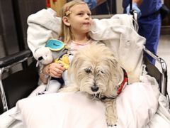 PHOTO: Kaelyn KK Krawczyk, 7, and her service dog, JJ, are wheeled into pre-op for her cystoscopy procedure at Duke University Hospital in Durham, N.C.