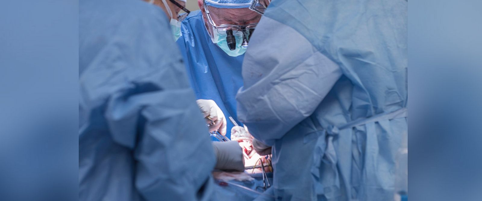 First Uterus Transplant Performed In Us Abc News 8759